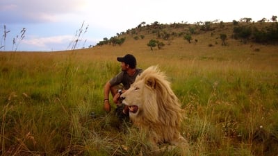 Africké Safari