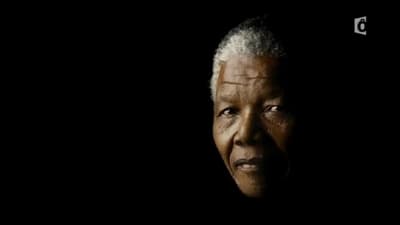 Nelson Mandela, libre à tout prix