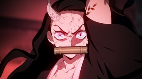 Demon Slayer: Kimetsu no Yaiba44