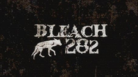 Bleach1282