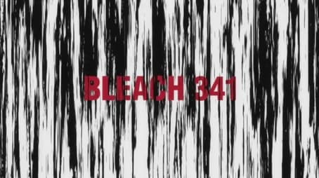 Bleach1341