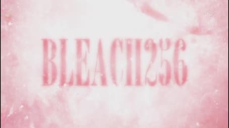 Bleach1256