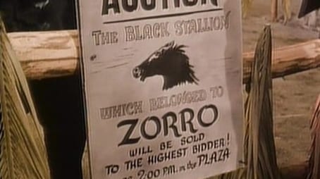 Zorro121