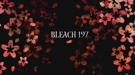 Bleach1197