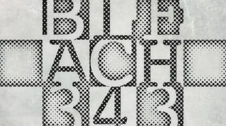 Bleach1343