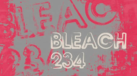 Bleach1234