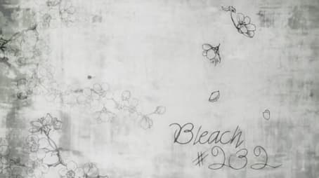 Bleach1232
