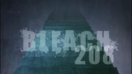 Bleach1208