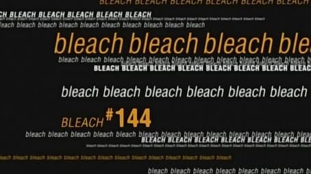 Bleach1144