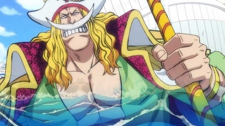 One Piece21964
