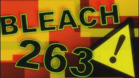 Bleach1263