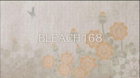 Bleach1168