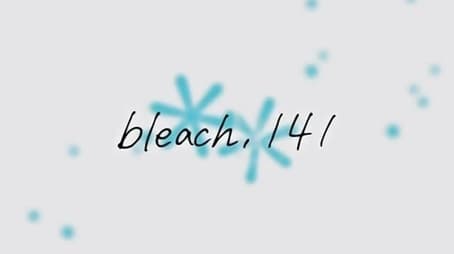 Bleach1141