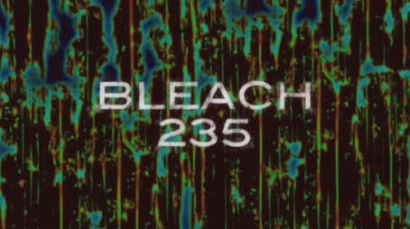Bleach1235
