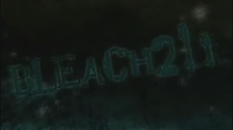 Bleach1211