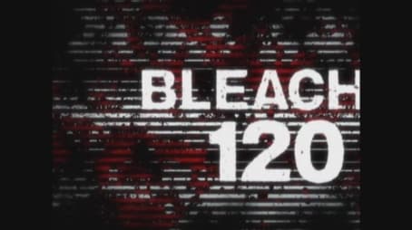 Bleach1120