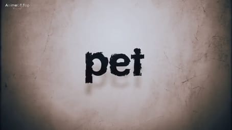 Pet113