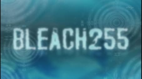 Bleach1255