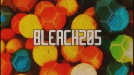 Bleach1205