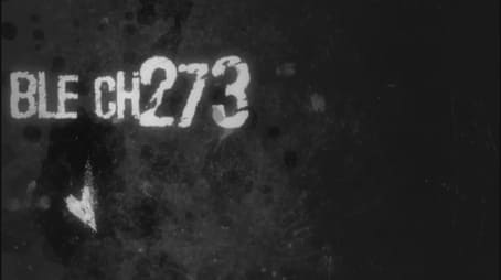 Bleach1273