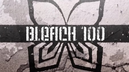Bleach1100