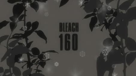 Bleach1160