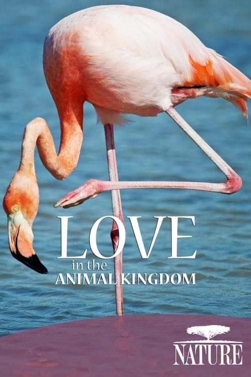 Nature: Love in the Animal Kingdom (2013) — The Movie Database (TMDB)