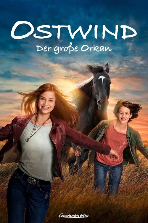 Windstorm The Great Hurricane (2021) Full Movie [In German] With Hindi Subtitles | BluRay 720p  [1XBET]
