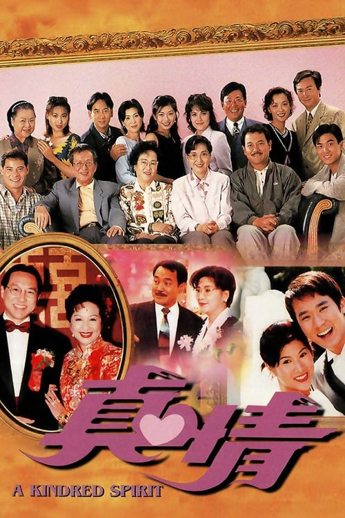 A Kindred Spirit (TV Series 1995-1995) — The Movie Database (TMDB)