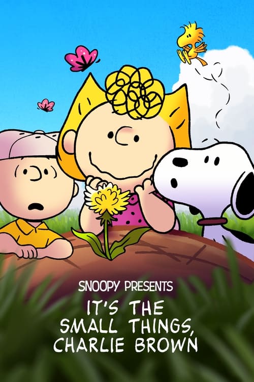 Snoopy Presents : It's the Small Things, Charlie Brown (VOSTFR) 2022
