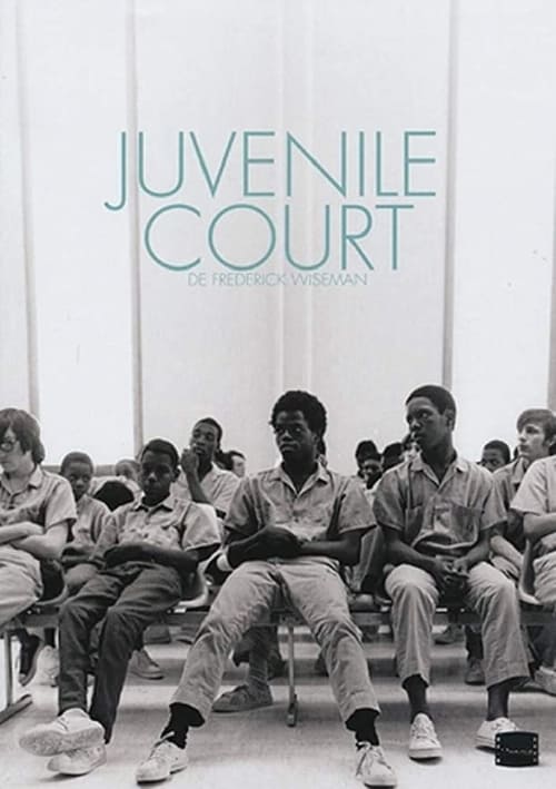 Documentary teen court