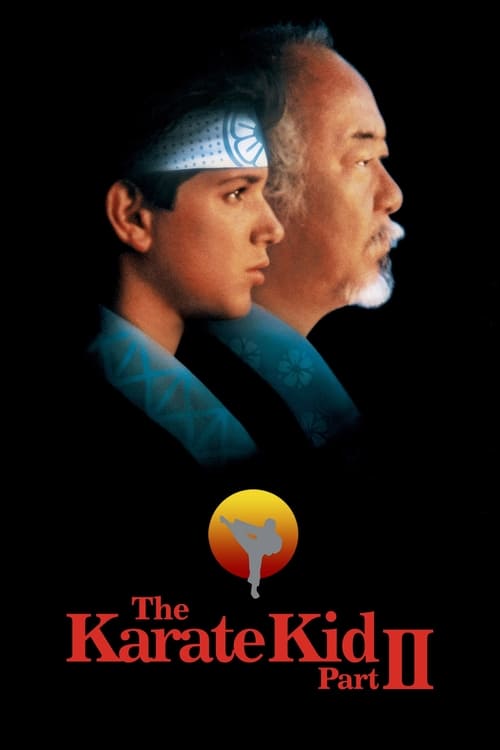 Download The Karate Kid Part II (1986) Dual Audio {Hindi-English} 720p [900MB]