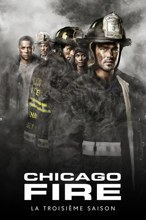 Chicago Fire Saison 3 - 2014