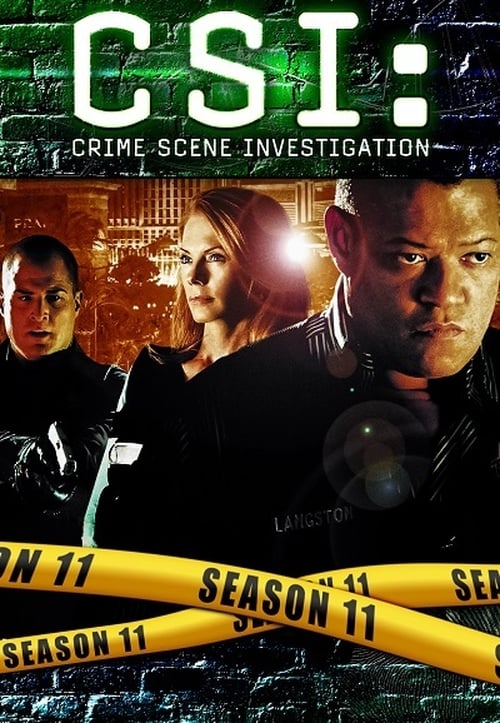 CSI: Crime Scene Investigation: Season (2010) — The Movie Database (TMDB)