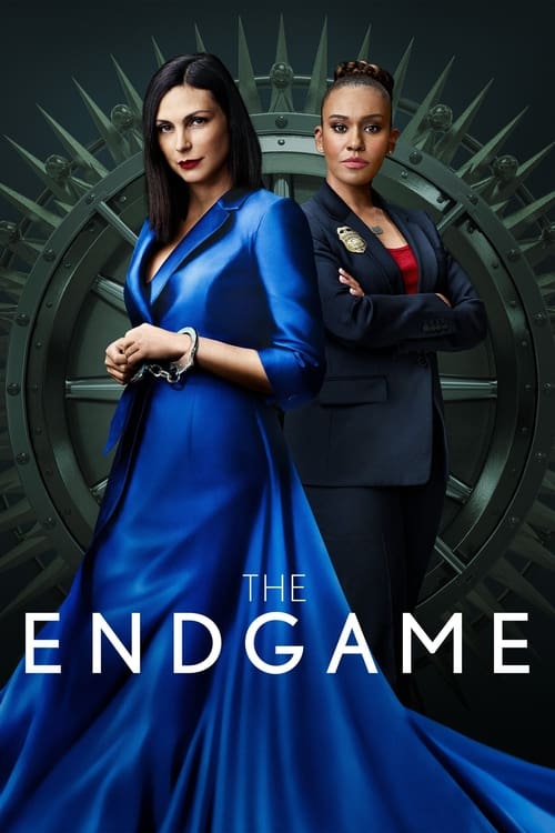 The Endgame (TV Series 2022-2022) — The Movie Database (TMDB)