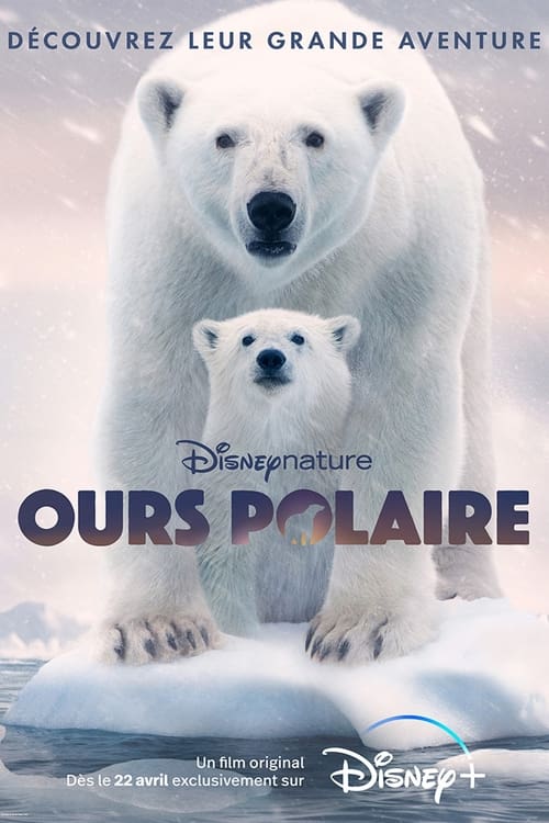 Ours polaire - 2022