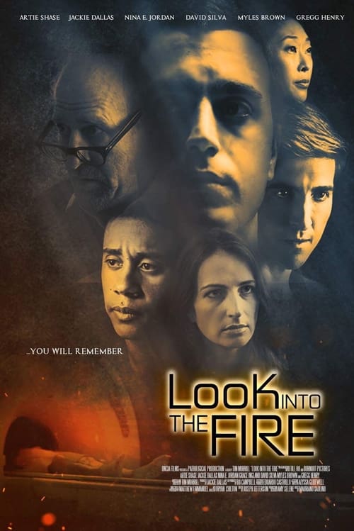 Look Into the Fire (WEBRIP LD) 2022