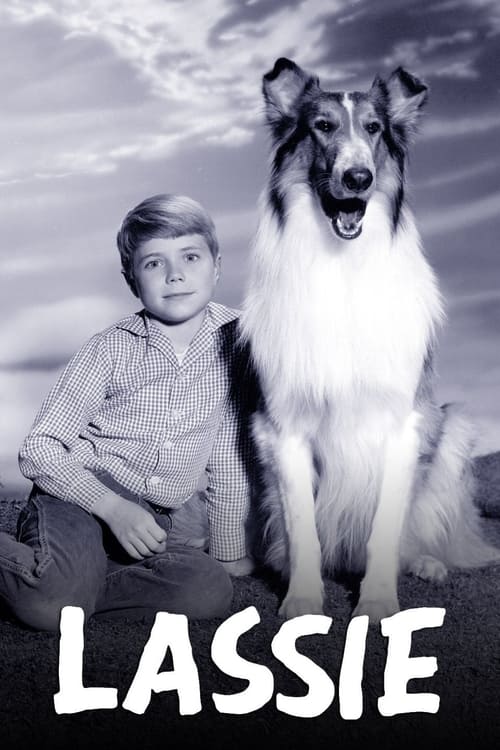 Lassie (1954 TV series) - Wikipedia