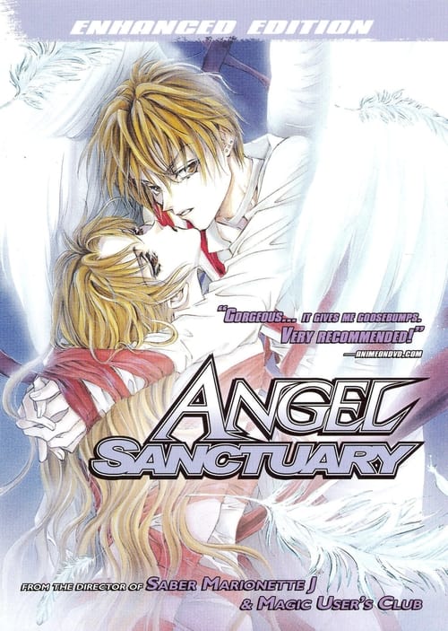 Angel Sanctuary  Anime Review  Nefarious Reviews