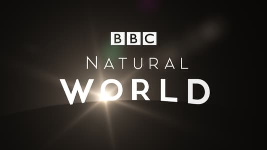 ‘~自然世界 (TV Series 1983- ) – Natural World ~’ 的图片