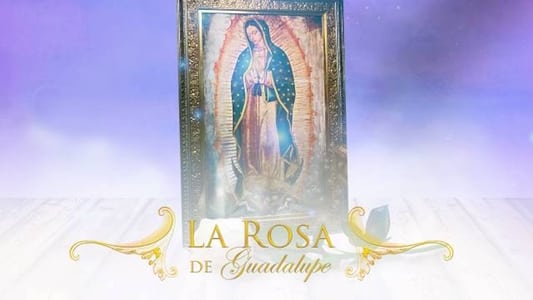 La Rosa De Guadalupe (TV Series 2020- ) — The Movie Database (TMDB)