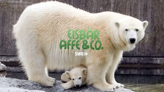 Eisbär و Affe & Co.