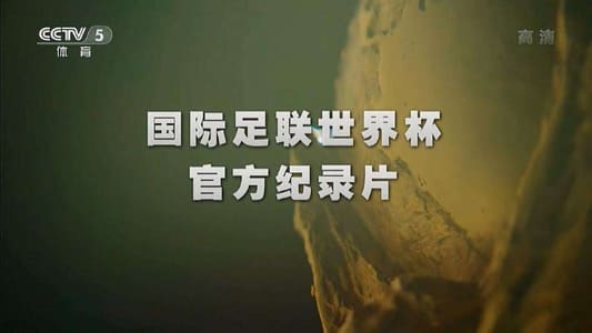 CCTV5 世界杯 纪录片