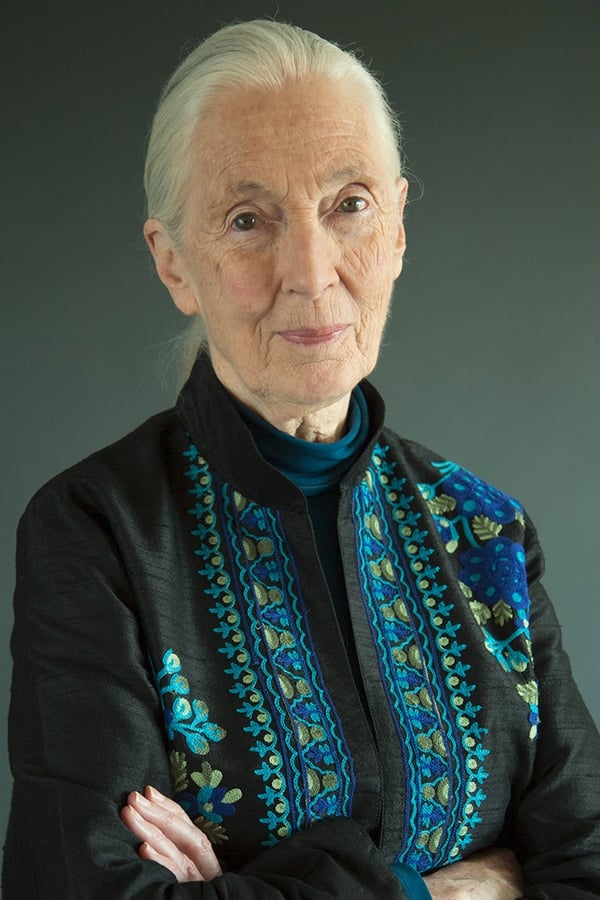 Jane Goodall profile image