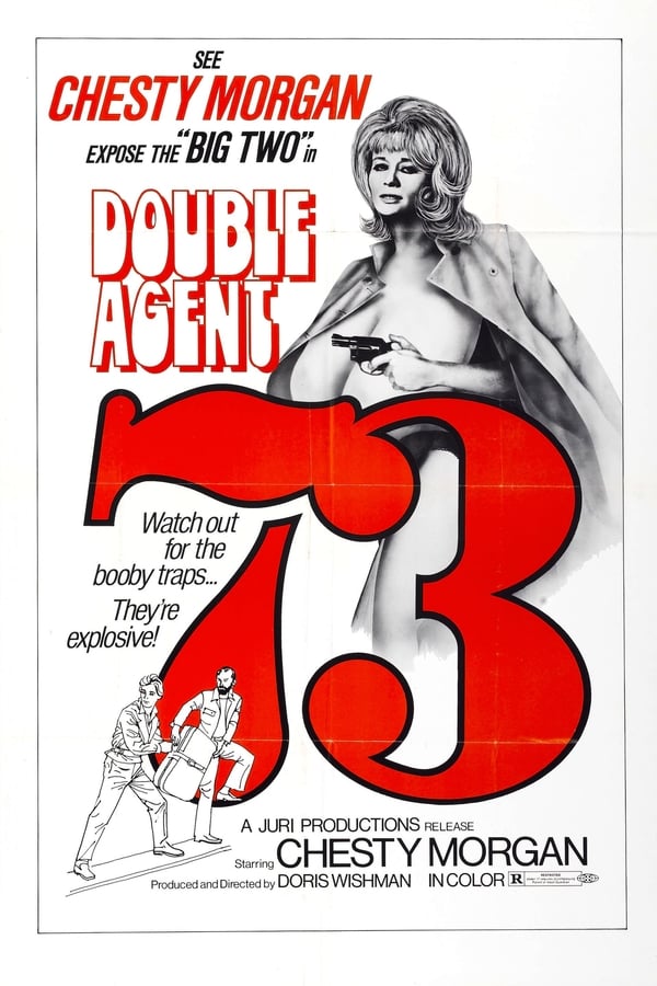 Affisch för Double Agent 73