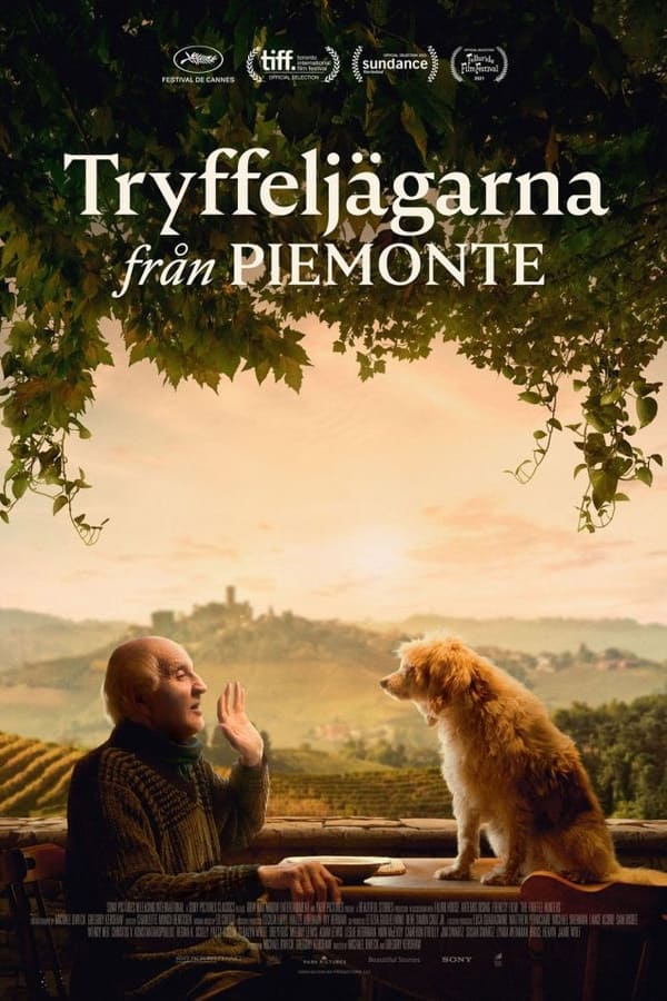 Affisch för Tryffeljägarna Från Piemonte