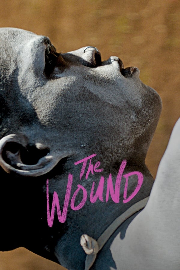 Affisch för The Wound
