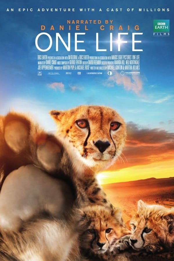 EN - One Life  (2011)