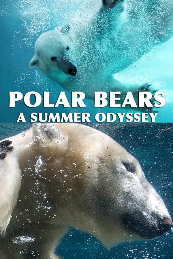 EN - Polar Bears: A Summer Odyssey  (2012)
