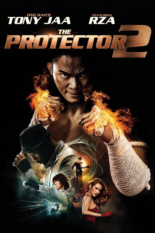 The Protector 2 (2013) 720p | 480p BluRay [Dual Audio] [Hindi-English] x264 Eng Subs